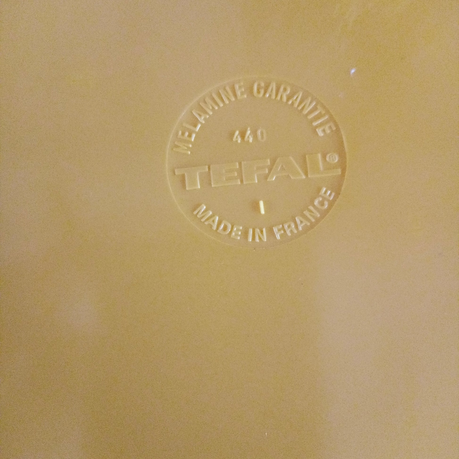Plat ovale  Tefal