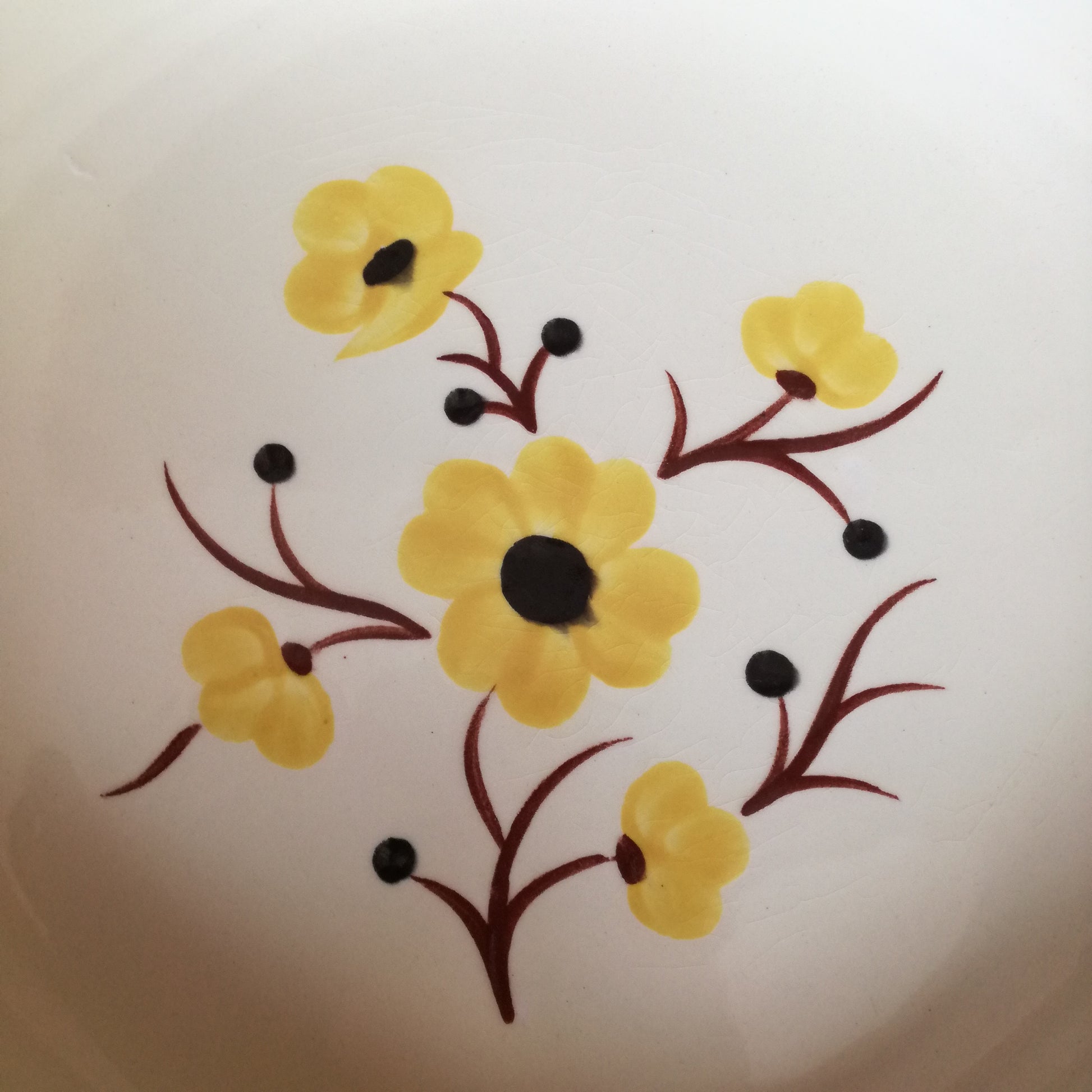 Plat Catherine Salins