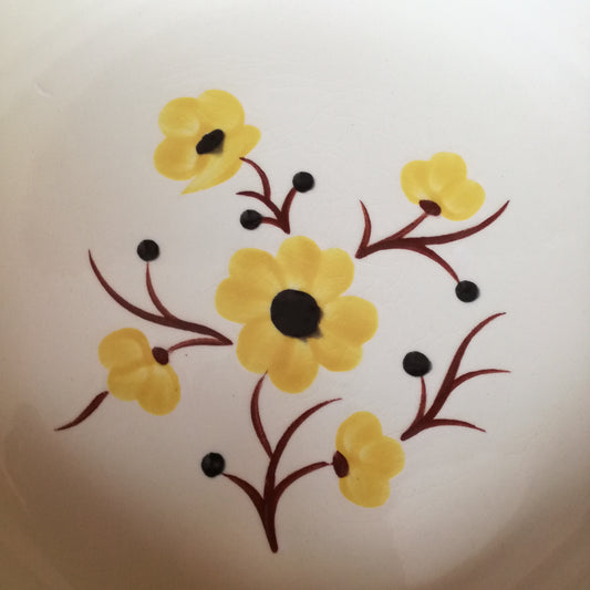 Plat Catherine Salins