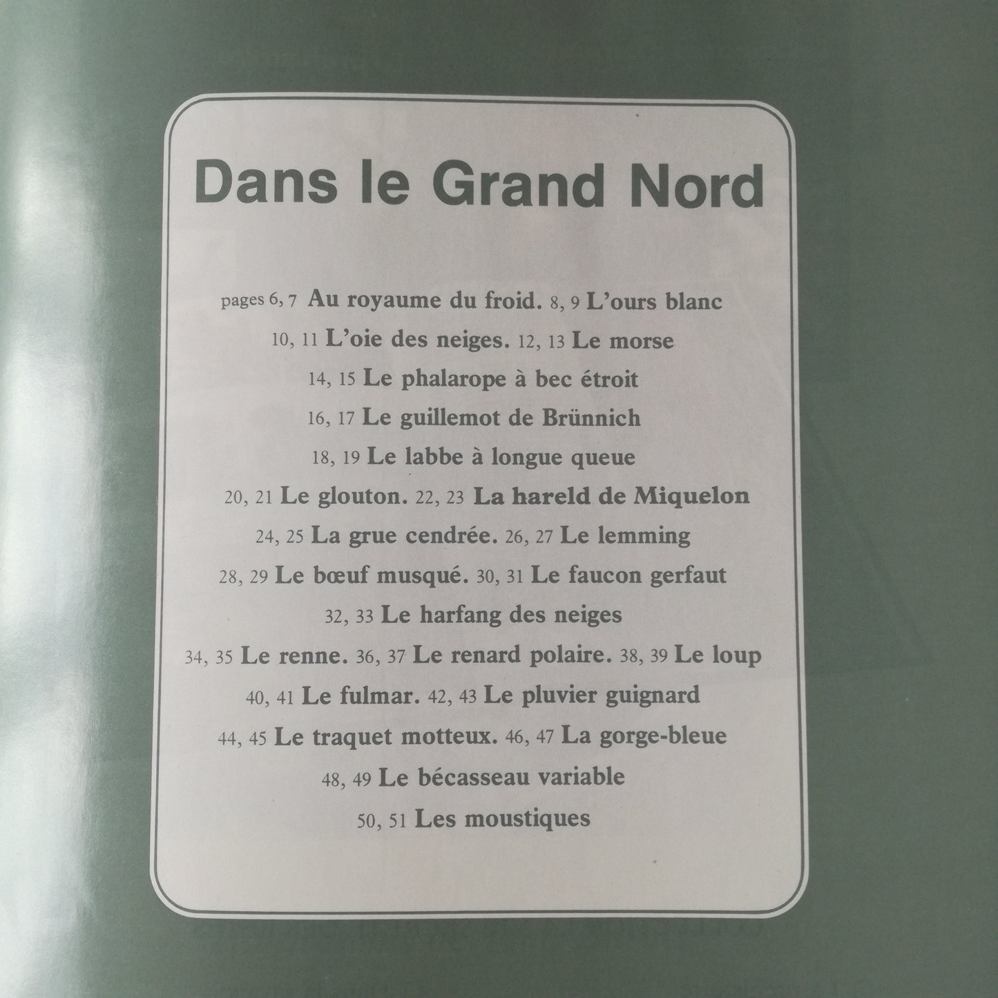 Livre jeunesse La vie secrète des bêtes Hachette