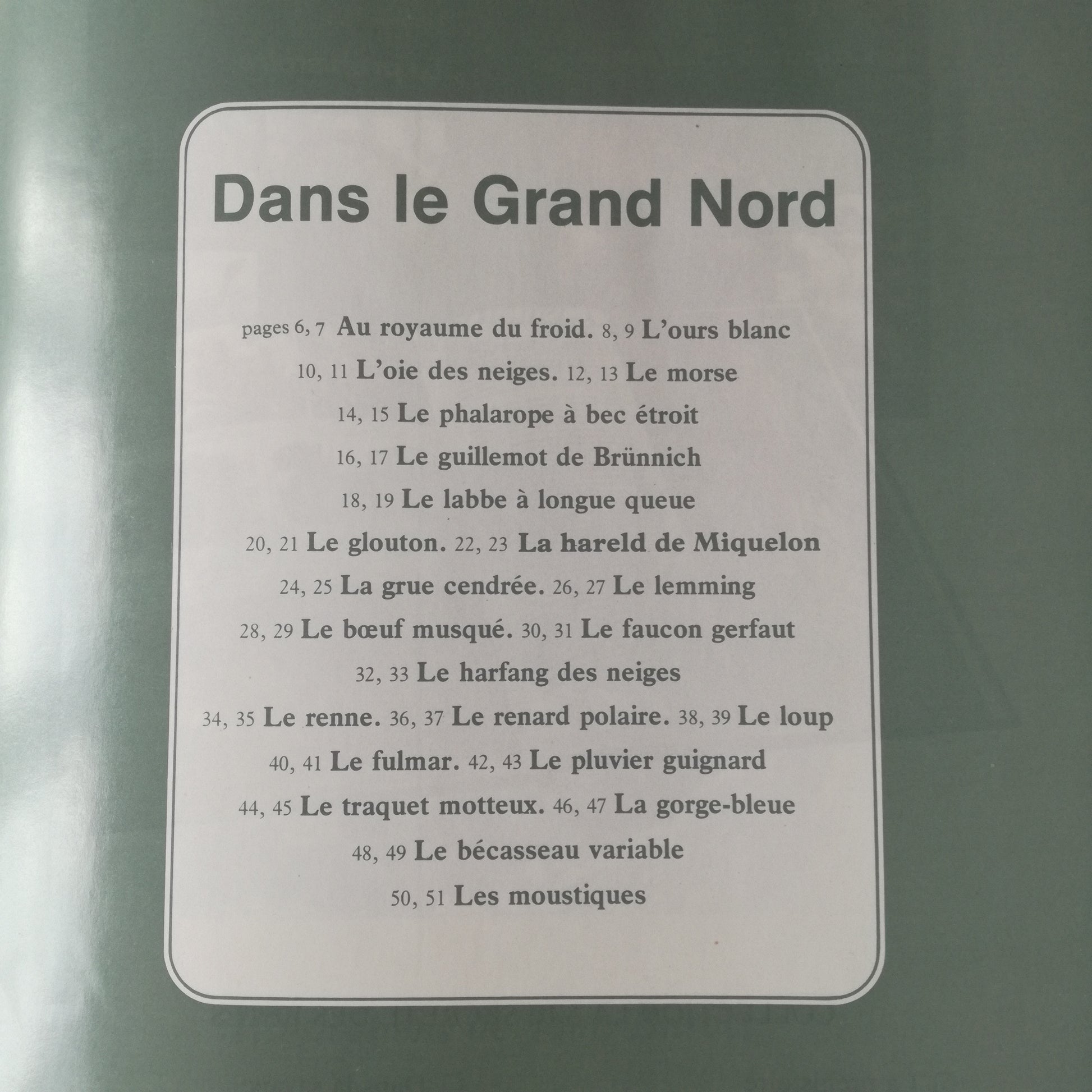Livre jeunesse La vie secrète des bêtes Hachette