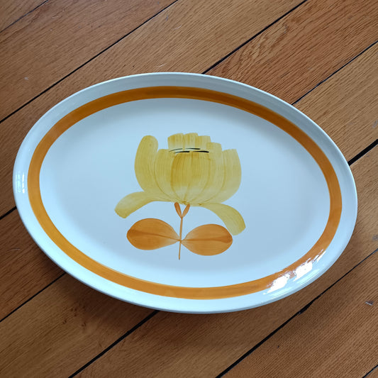 Plat ovale  Salins