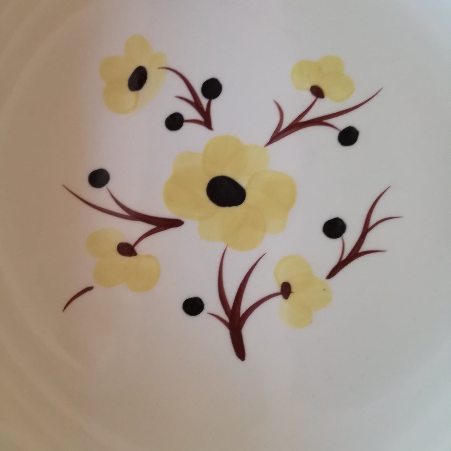 Plat Catherine Salins