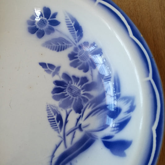 Plat André Sarreguemines