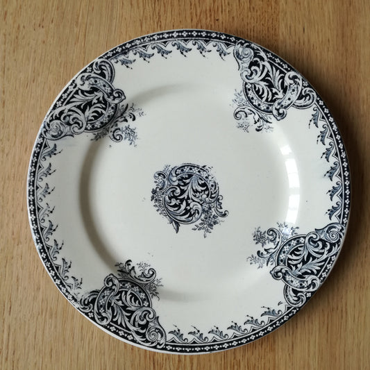Assiette  Salins