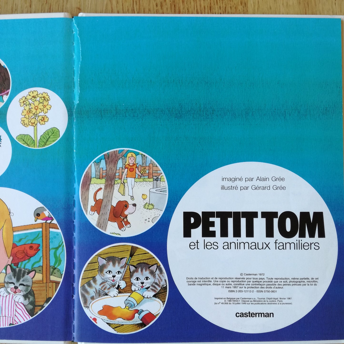 Livre jeunesse Petit Tom Casterman
