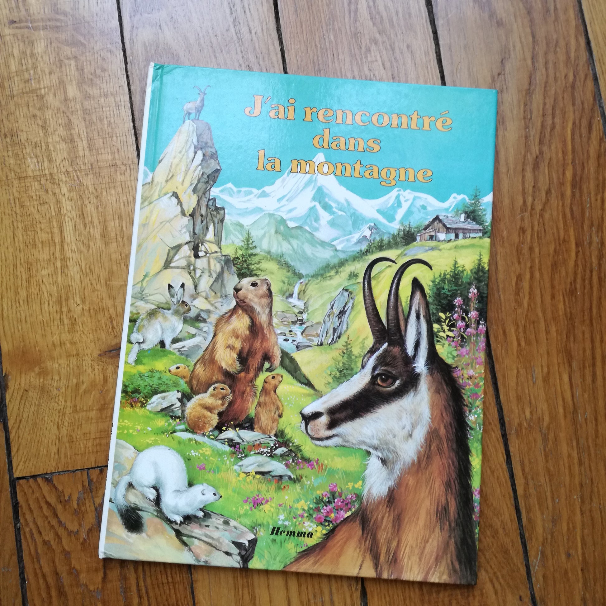 Livre jeunesse La ronde des animaux Hemma