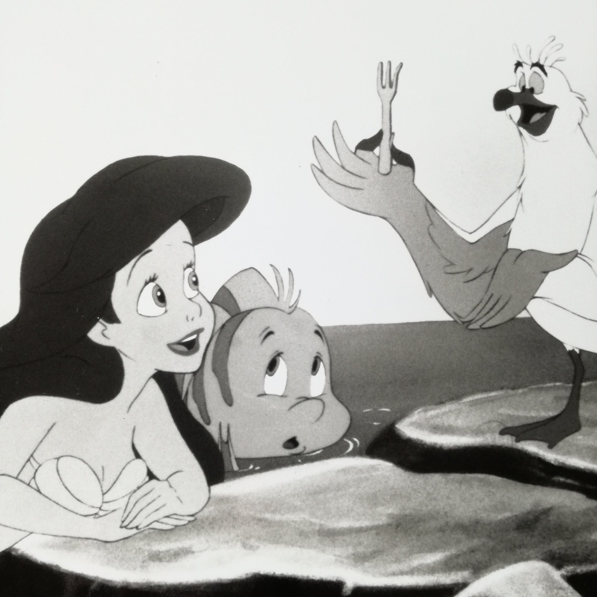 Photographie  Walt Disney