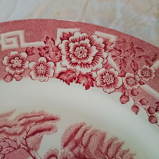 Assiette - grande plate  Barratts (GB)