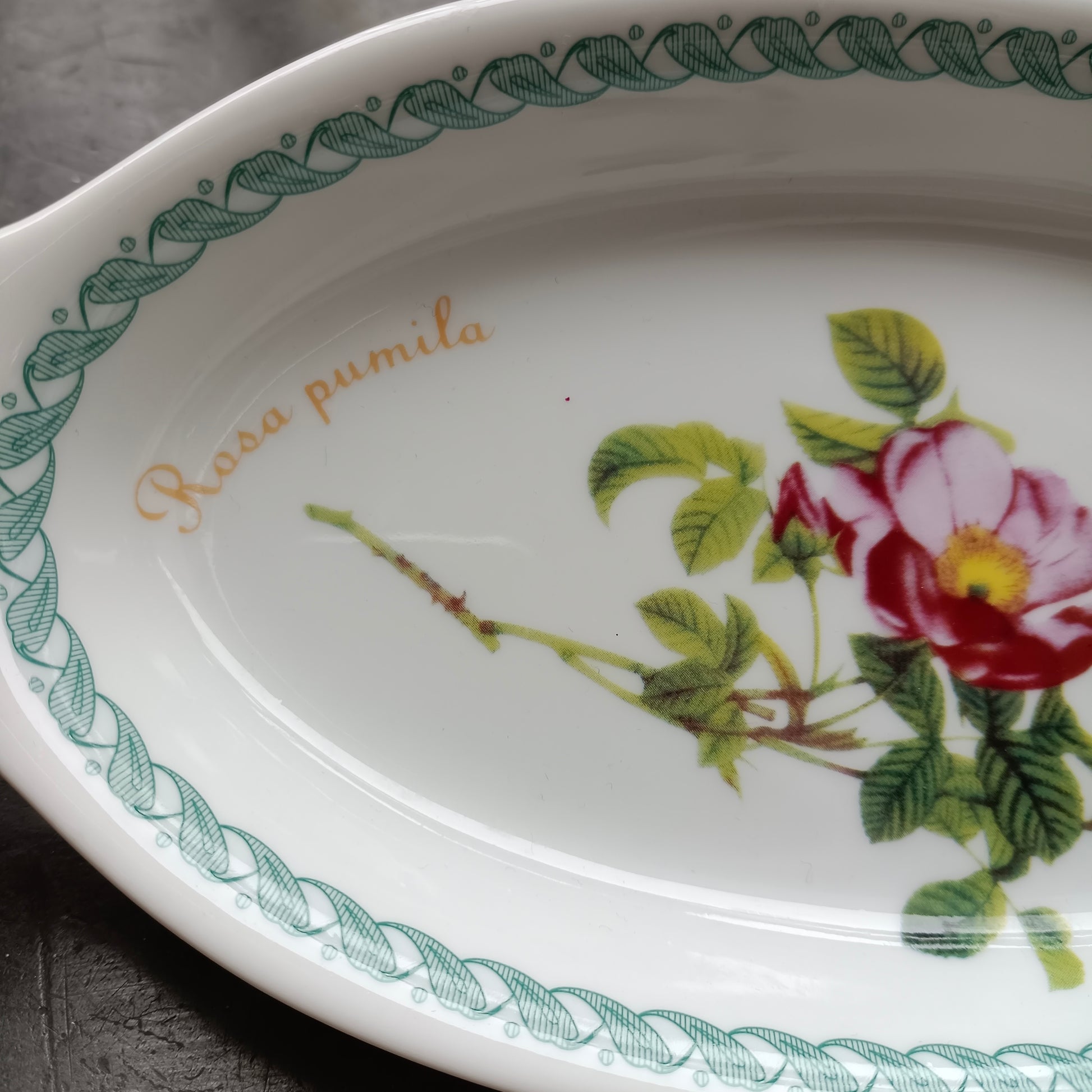 Coupelle forme feulle Malva sylvestrs Porcelane Tognana Le Terrne Coupelle forme feulle Malva sylvestrs Porcelane Tognana Le Terrne