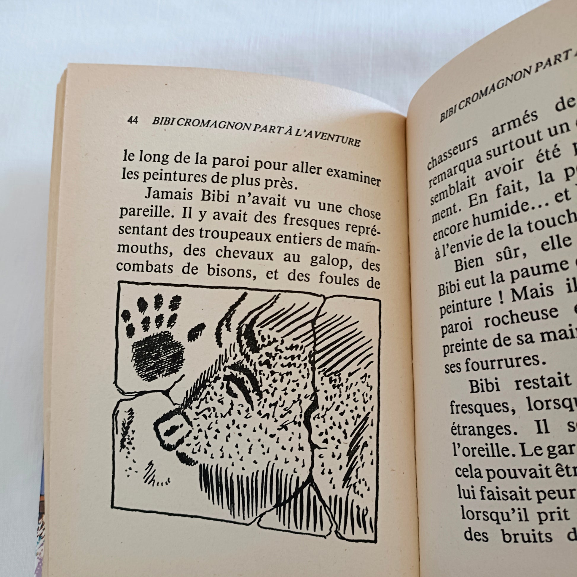 Livre jeunesse Bibliothèque Rose Hachette