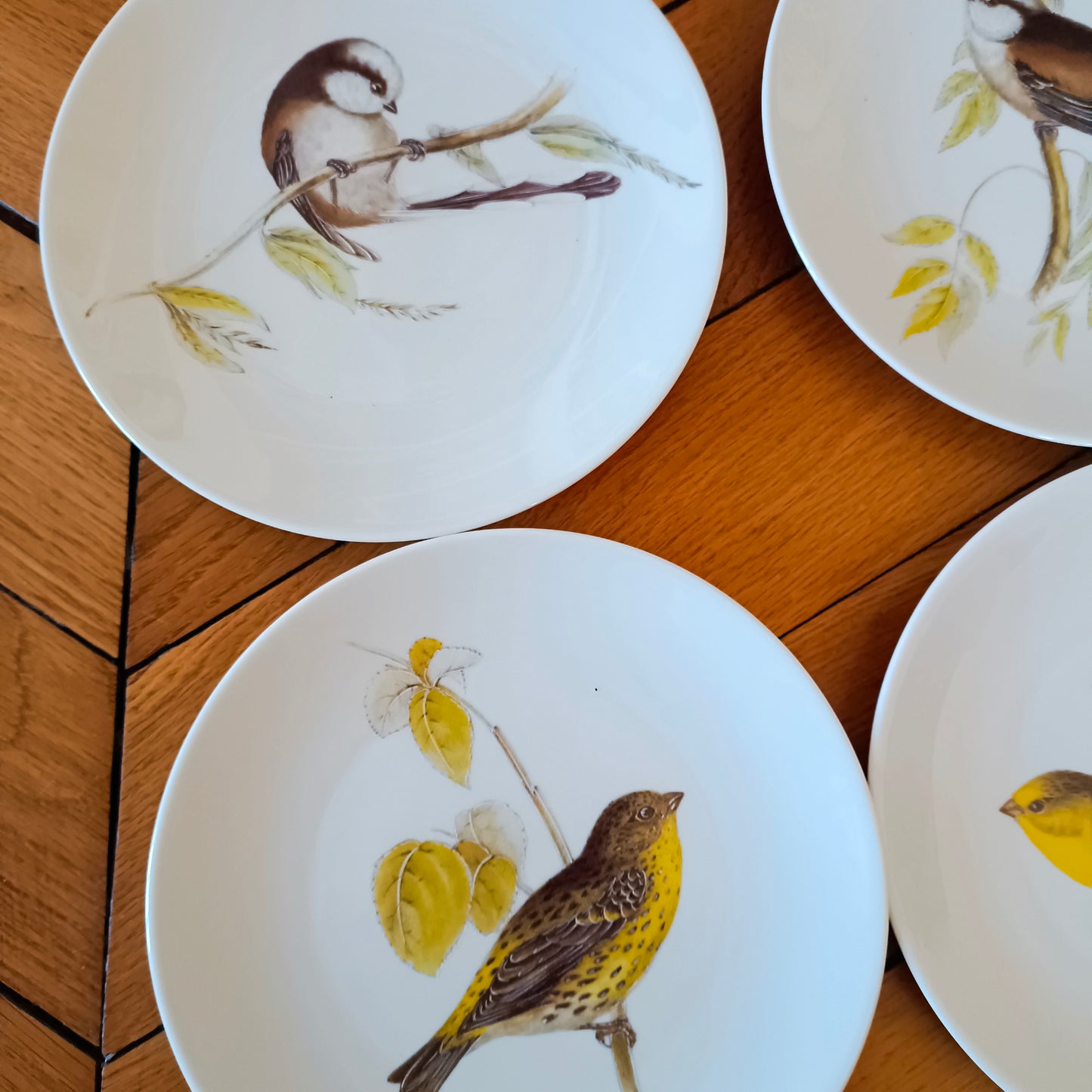 Assiette  Porcelaine de Sologne
