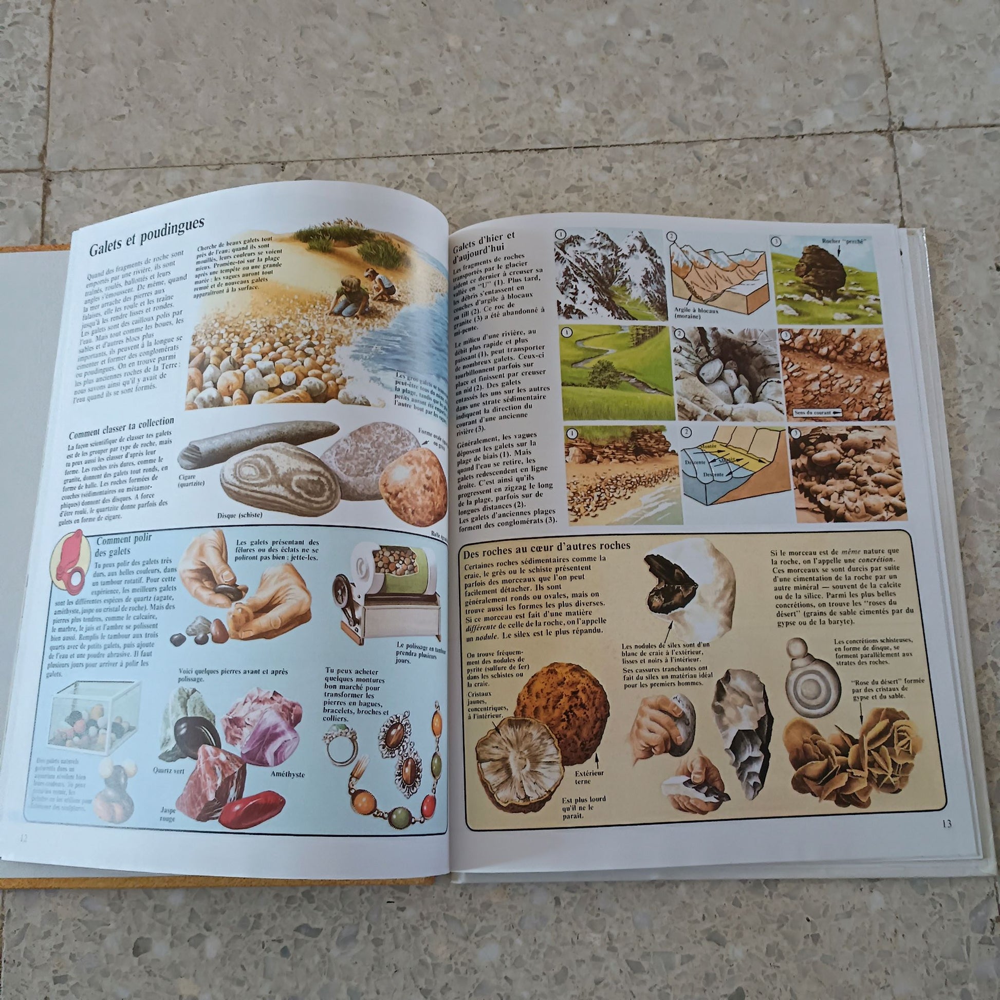 Livre scientifique  France Loisirs