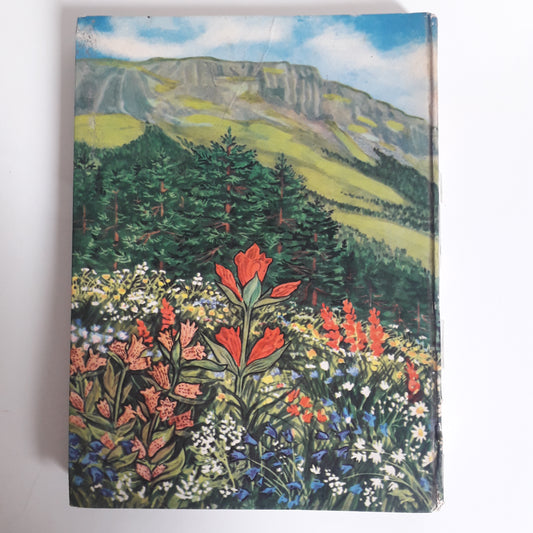 Livre de poche  Flammarion