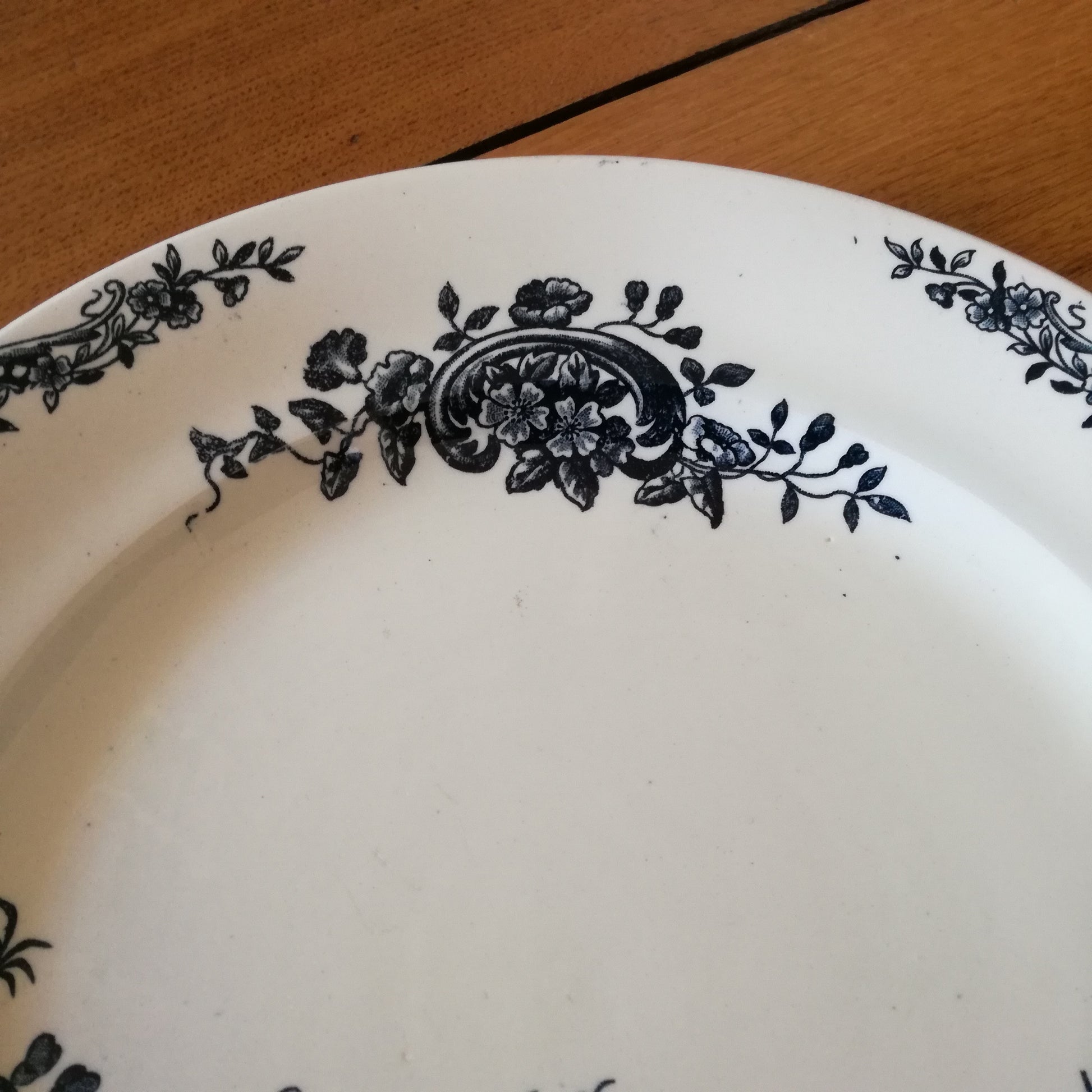 Plat Rocaille Salins