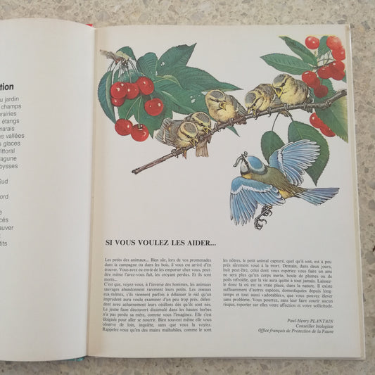 Livre jeunesse La vie privée des animaux Hachette