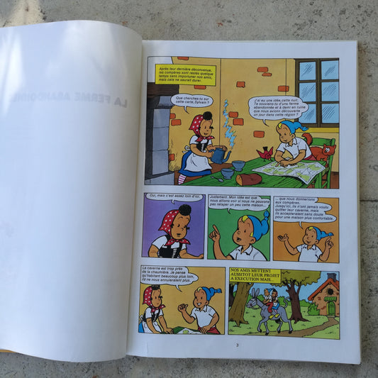 Livre - BD (Bande dessinée) Sylvain et Sylvette Fleurus