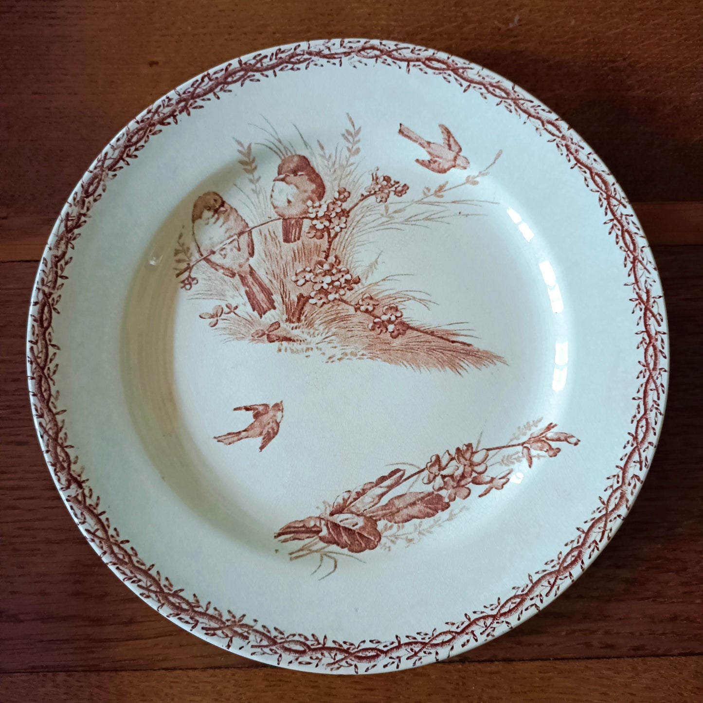 Assiette - grande plate  Compagnie Franco-Anglaise
