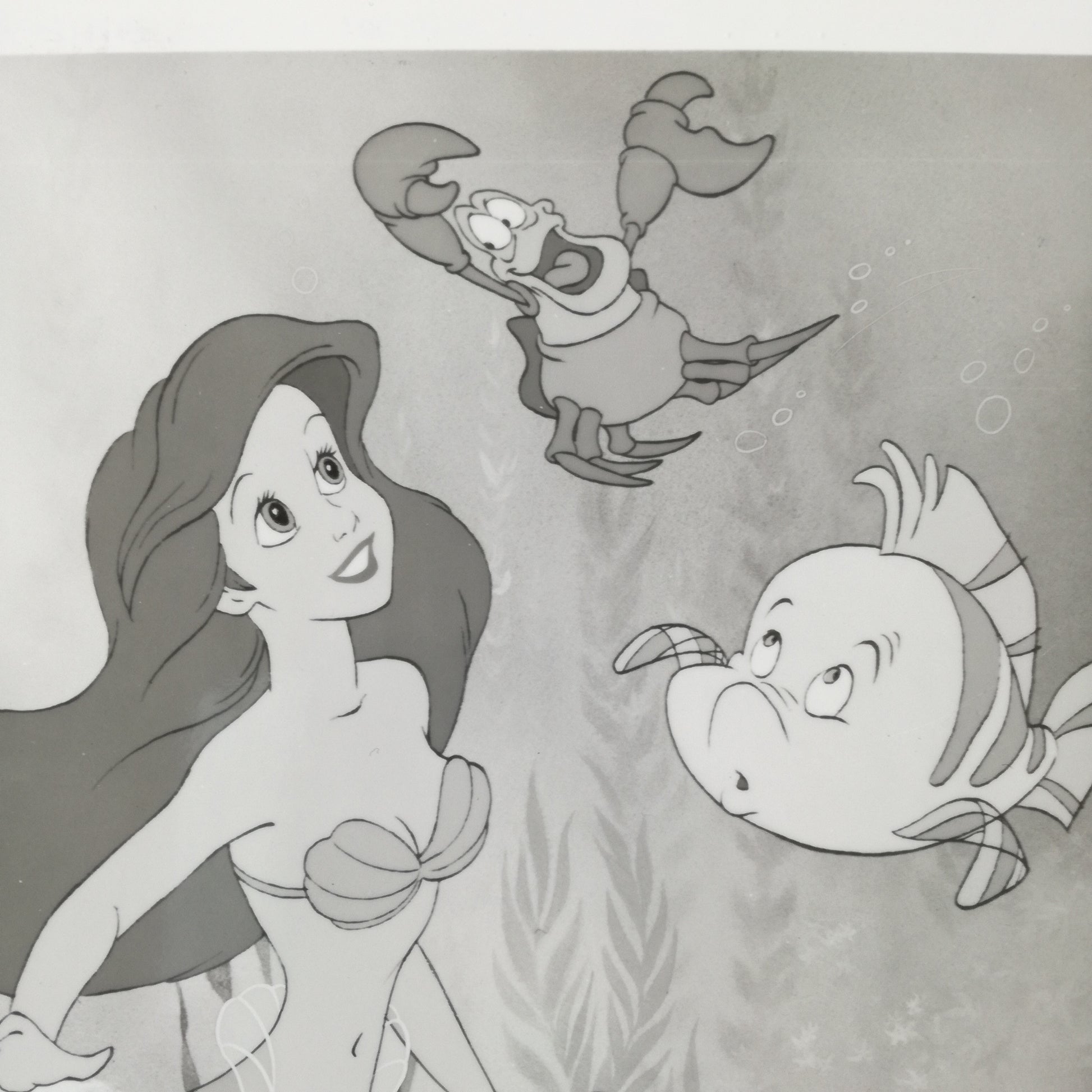 Photographie  Walt Disney