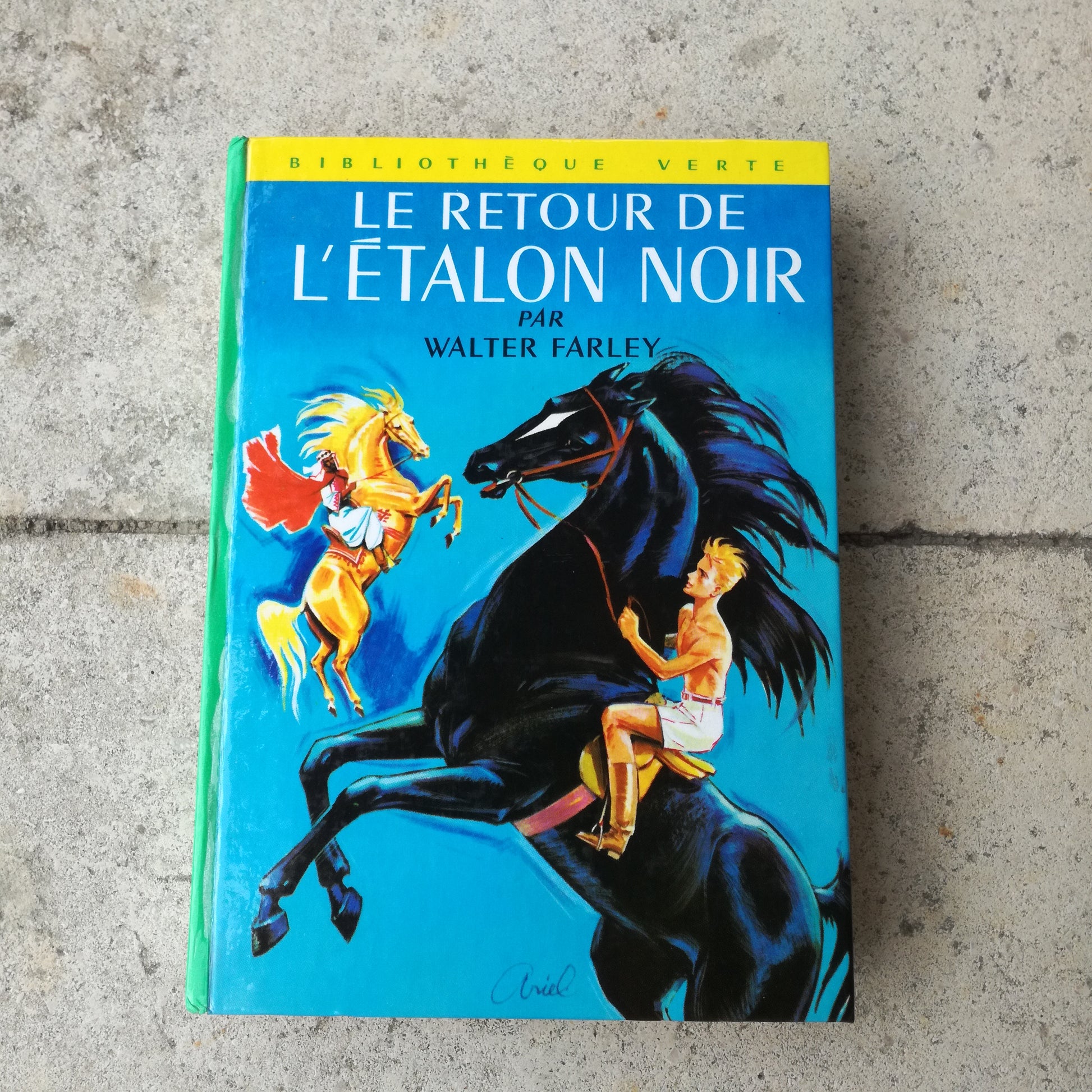 Livre jeunesse Bibliothèque Verte Hachette