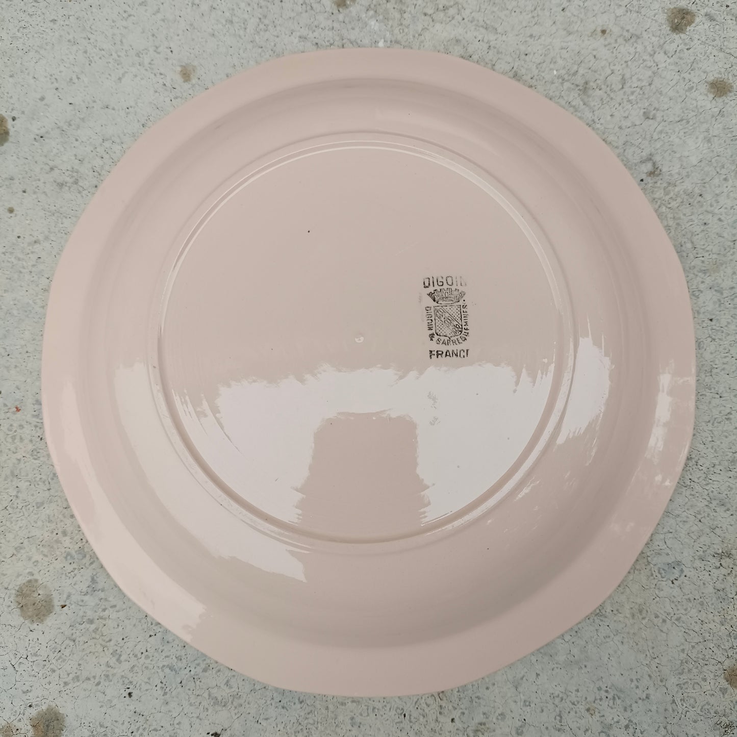 Plat  Digoin & Sarreguemines