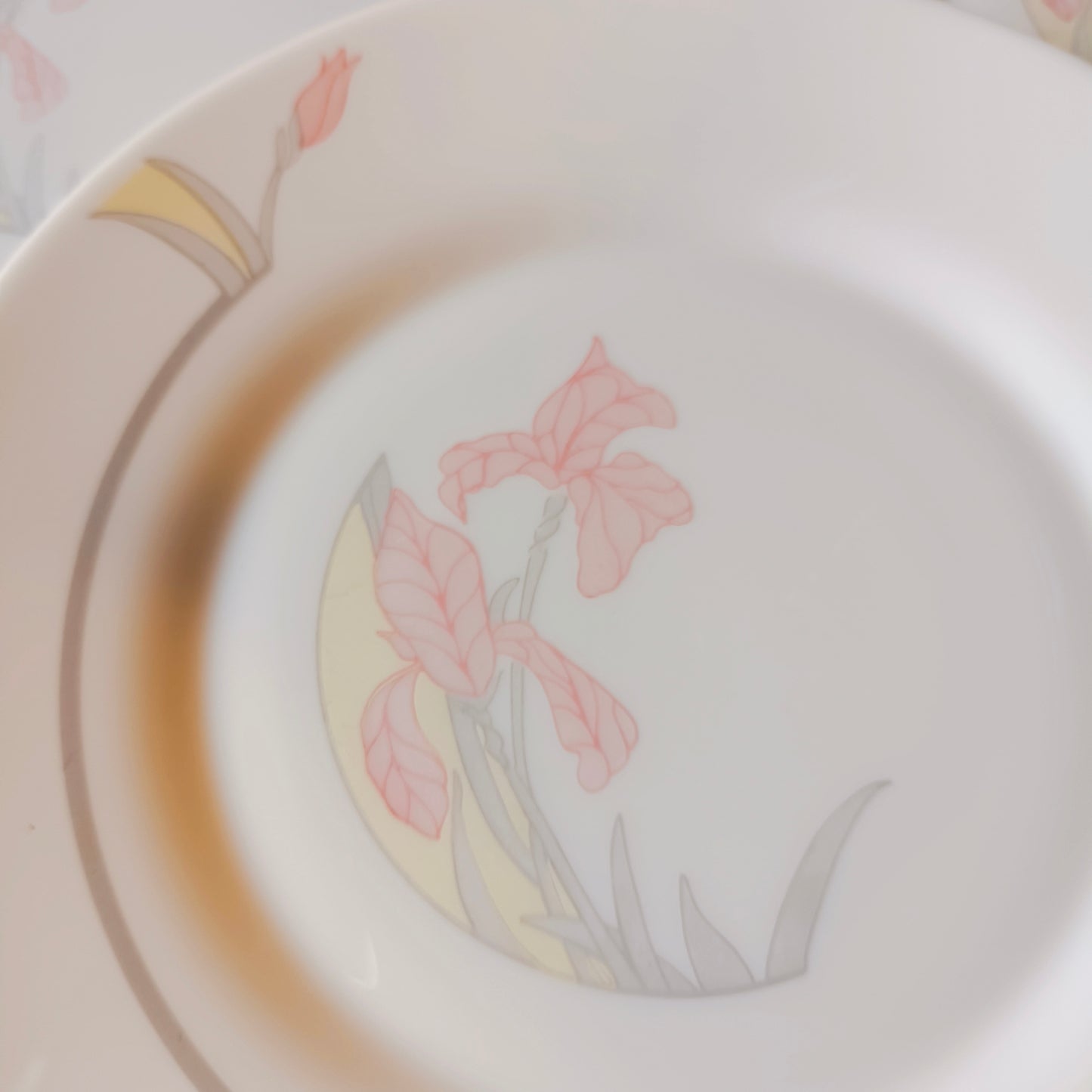 Assiette  Arcopal