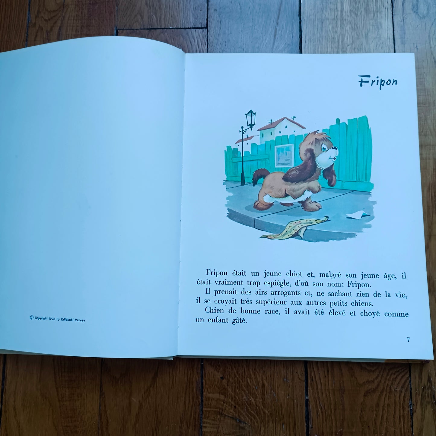 Livre jeunesse Premier Envol Arnaud