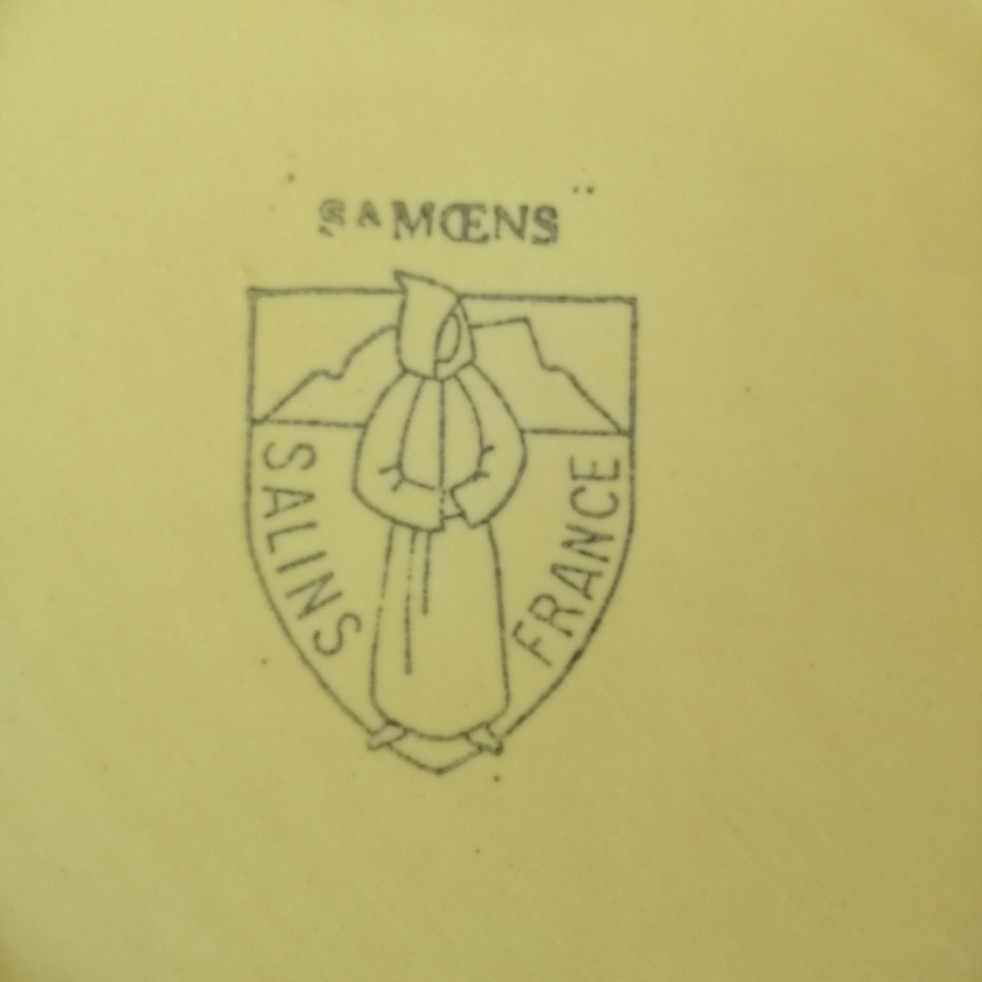 Plat Samoens Salins