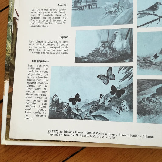 Livre jeunesse Les petits des... Touret