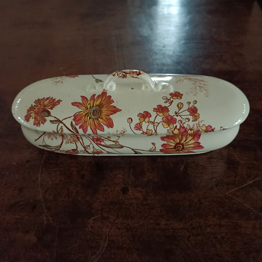 Porte brosse à dents Vienna WAA (William Alsager Adderley)