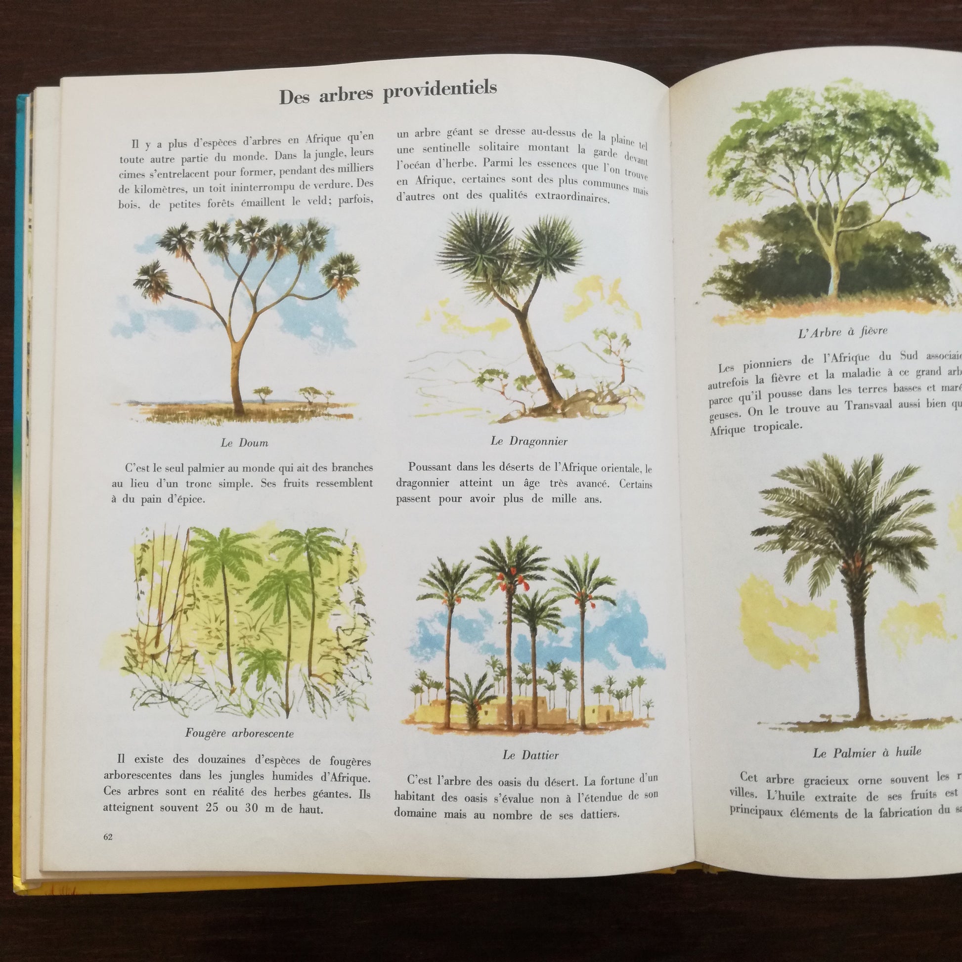 Encyclopédie Encyclopédie en couleurs Hachette