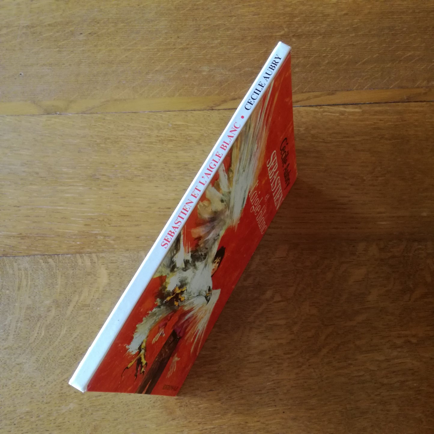 Livre jeunesse Sébastien Éditions GP
