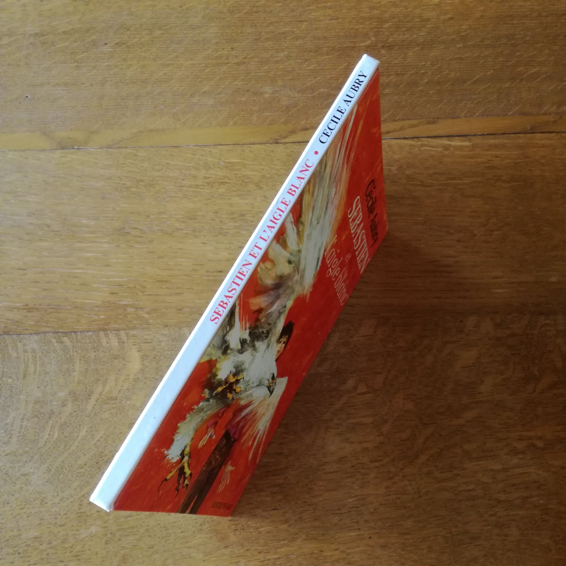 Livre jeunesse Sébastien Éditions GP