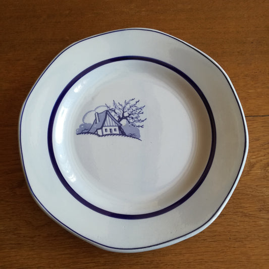 Plat Aubépine Sarreguemines
