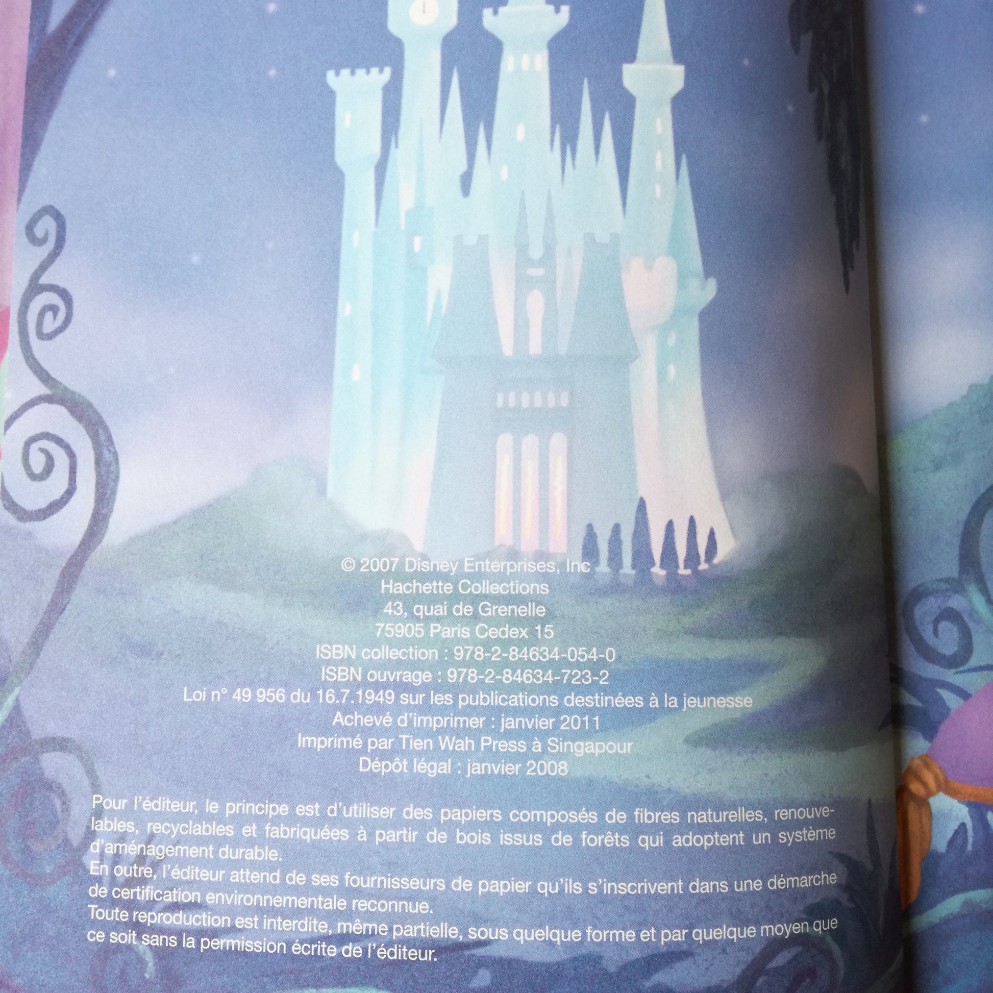 Livre jeunesse Disney Club du Livre Hachette
