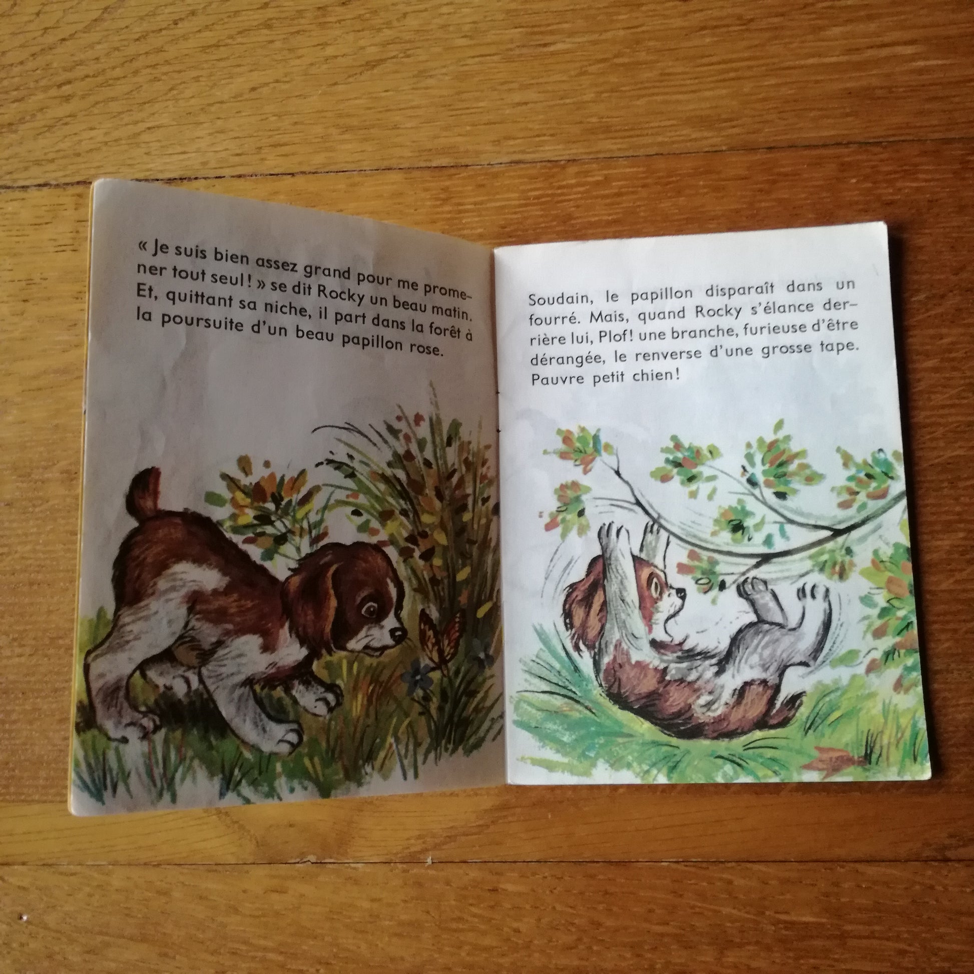 Livre jeunesse Junior Lito