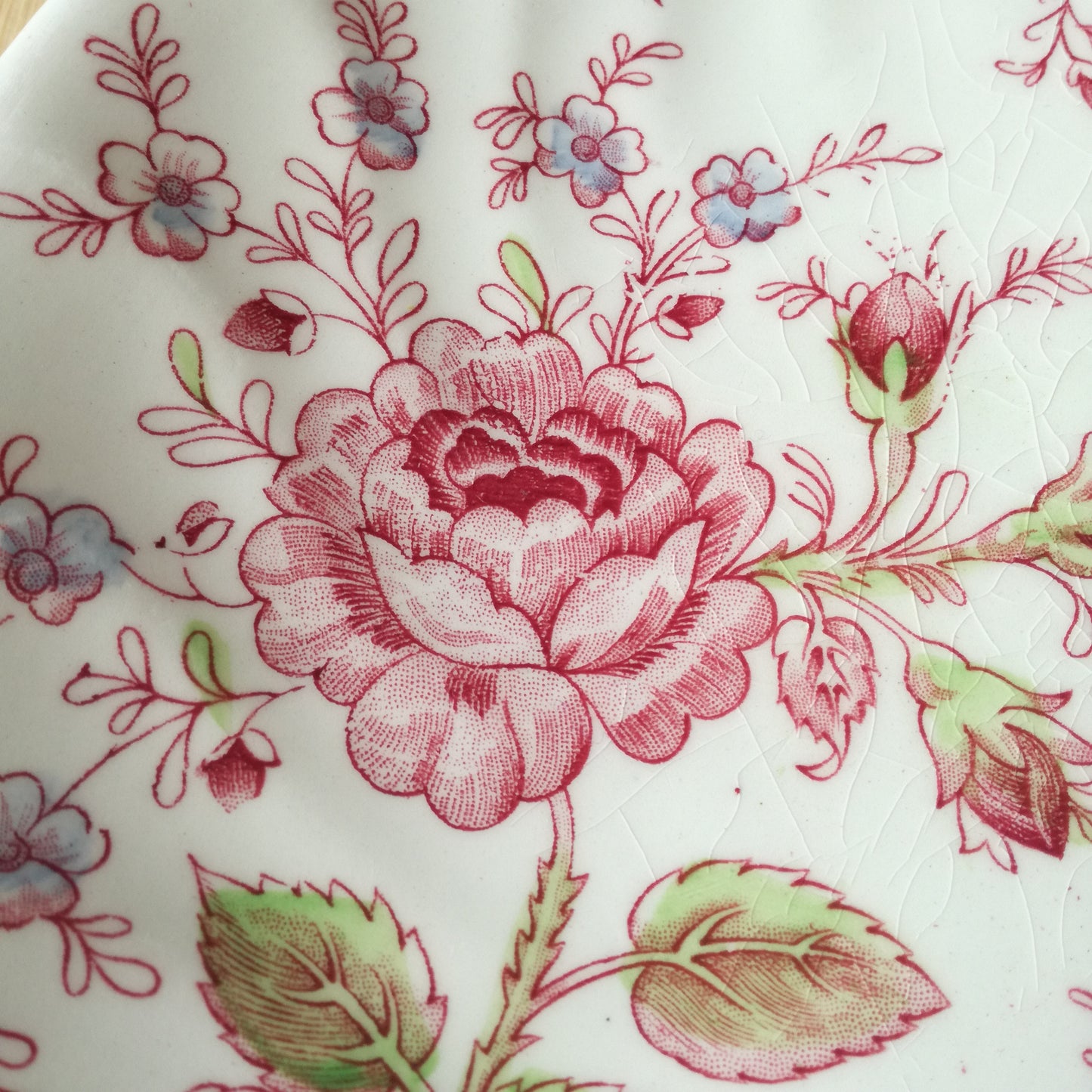 Plat Rose Chintz Johnson Brothers (GB)