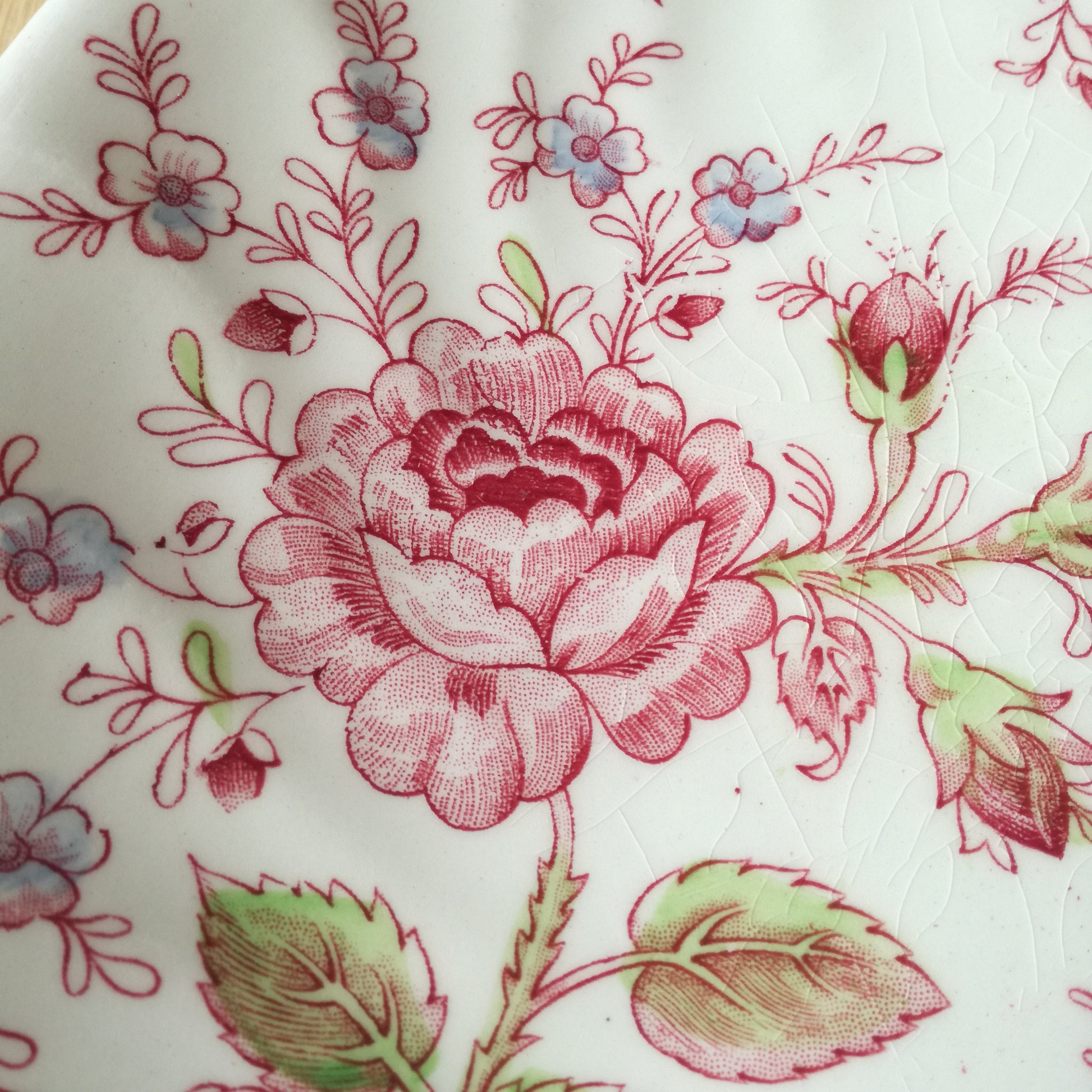 Plat Rose Chintz Johnson Brothers (GB)