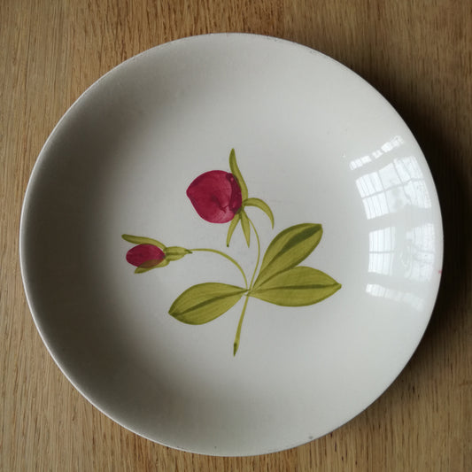 Assiette - creuse / calotte Japon 