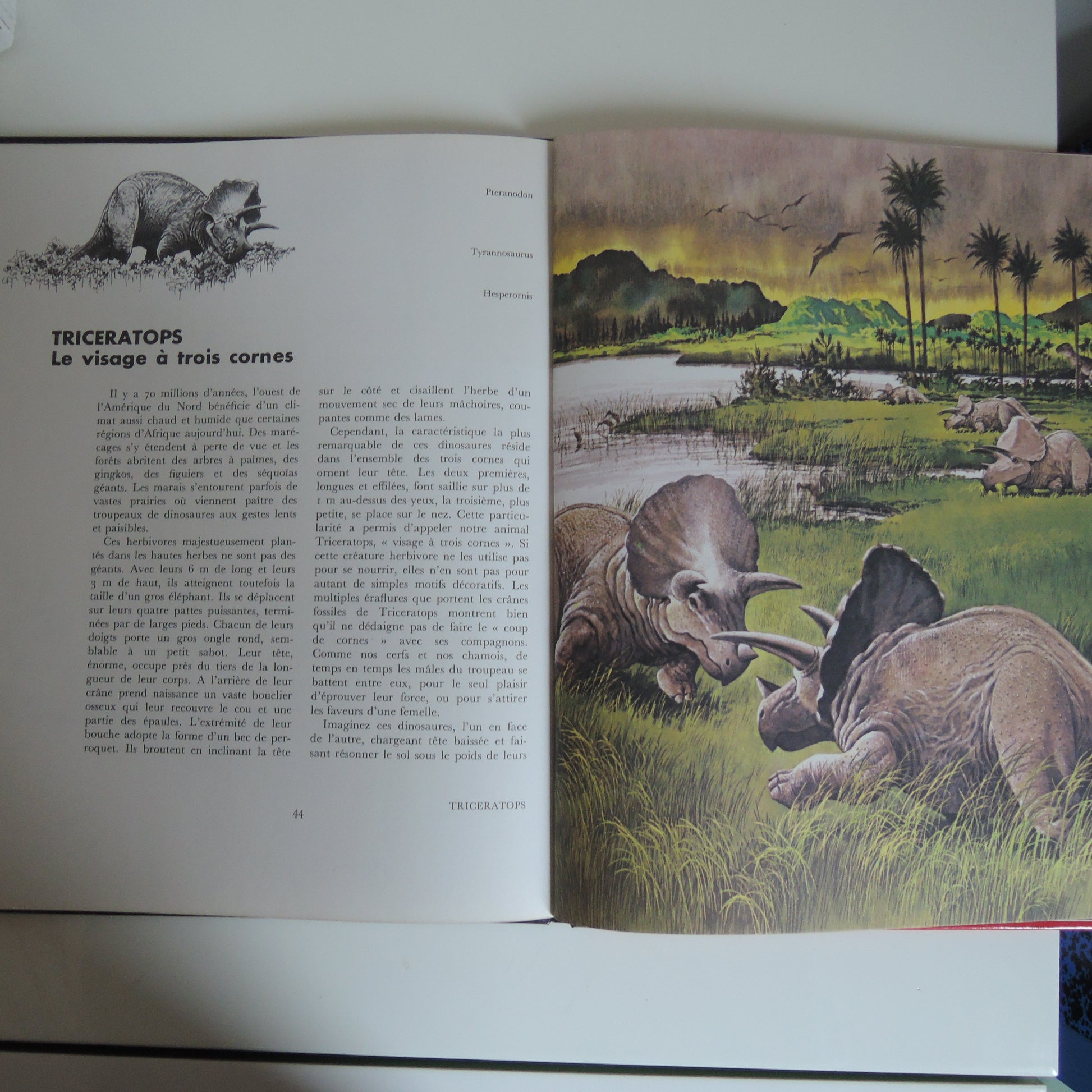 Livre jeunesse  