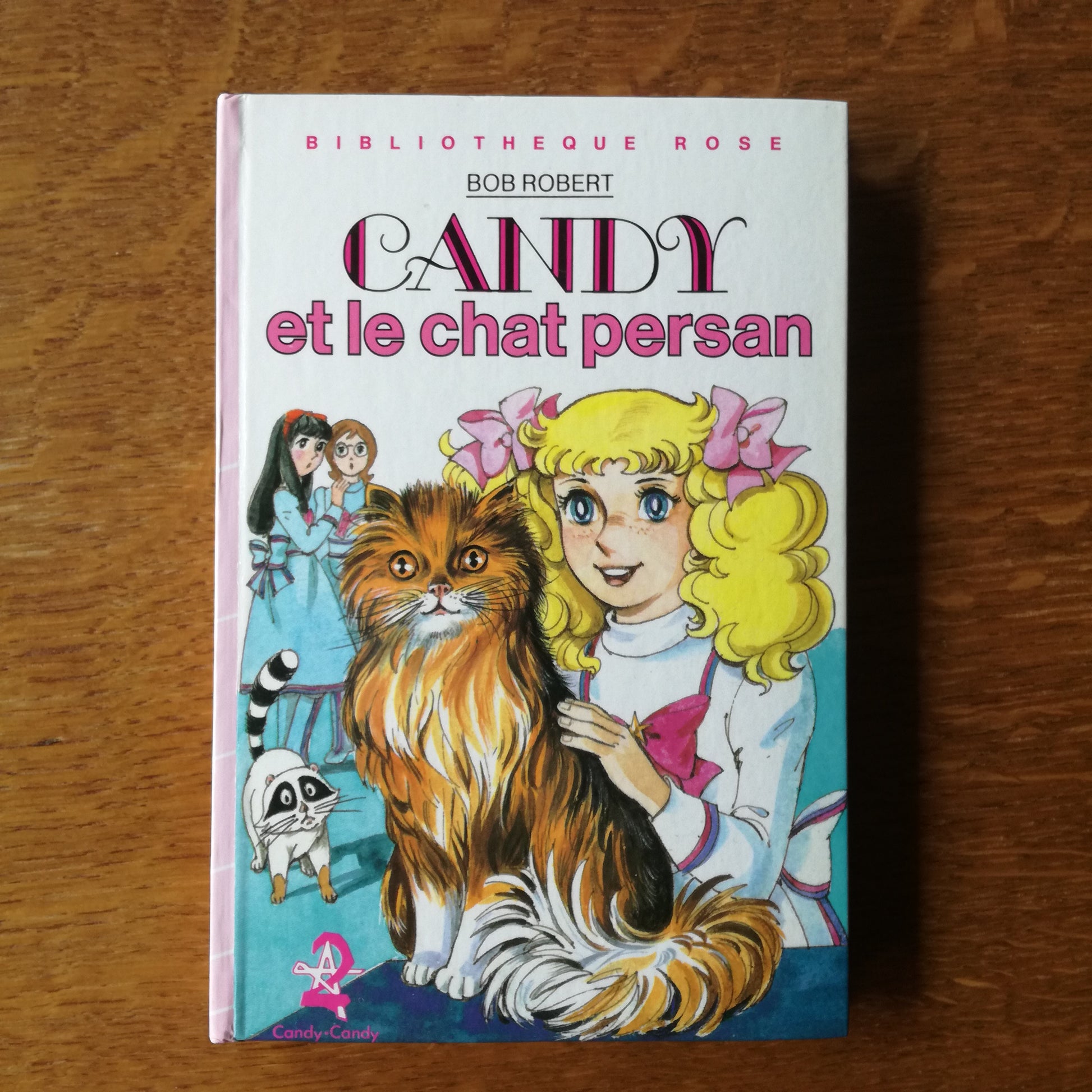 Livre jeunesse Candy Hachette