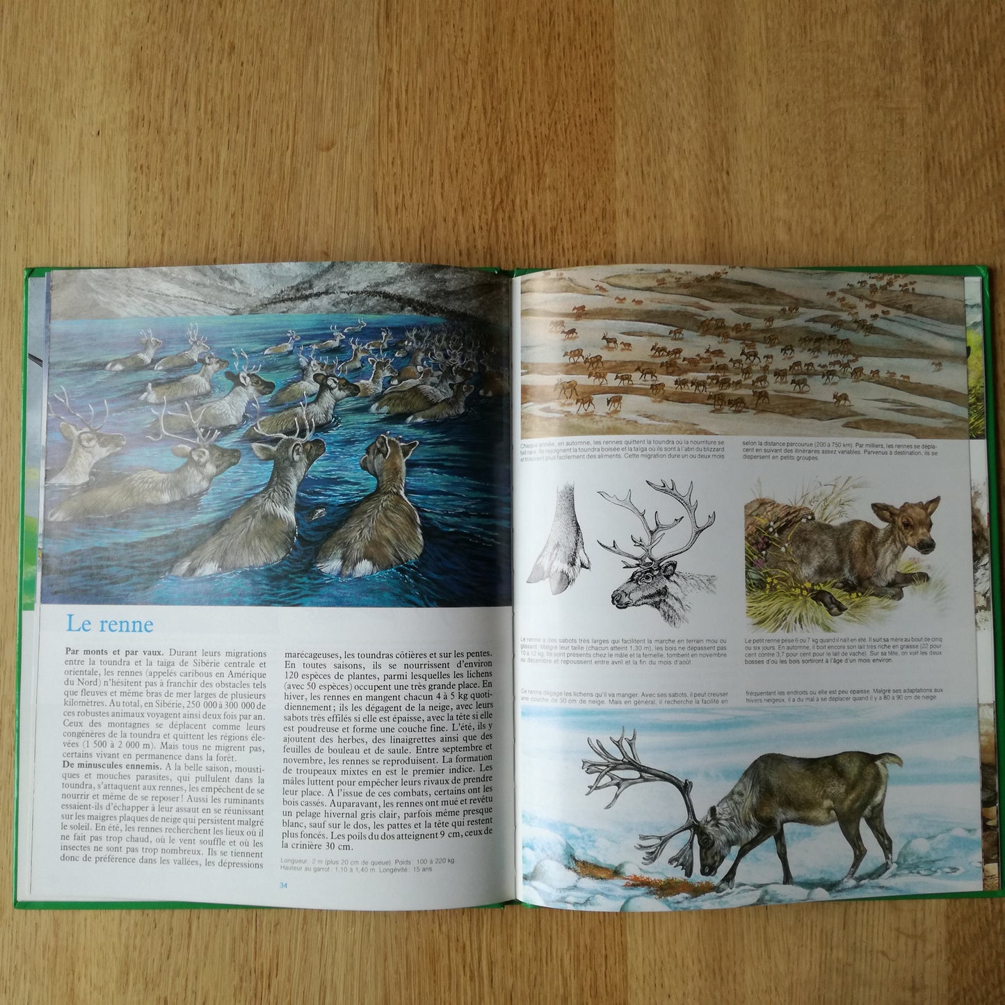 Livre jeunesse La vie secrète des bêtes Hachette