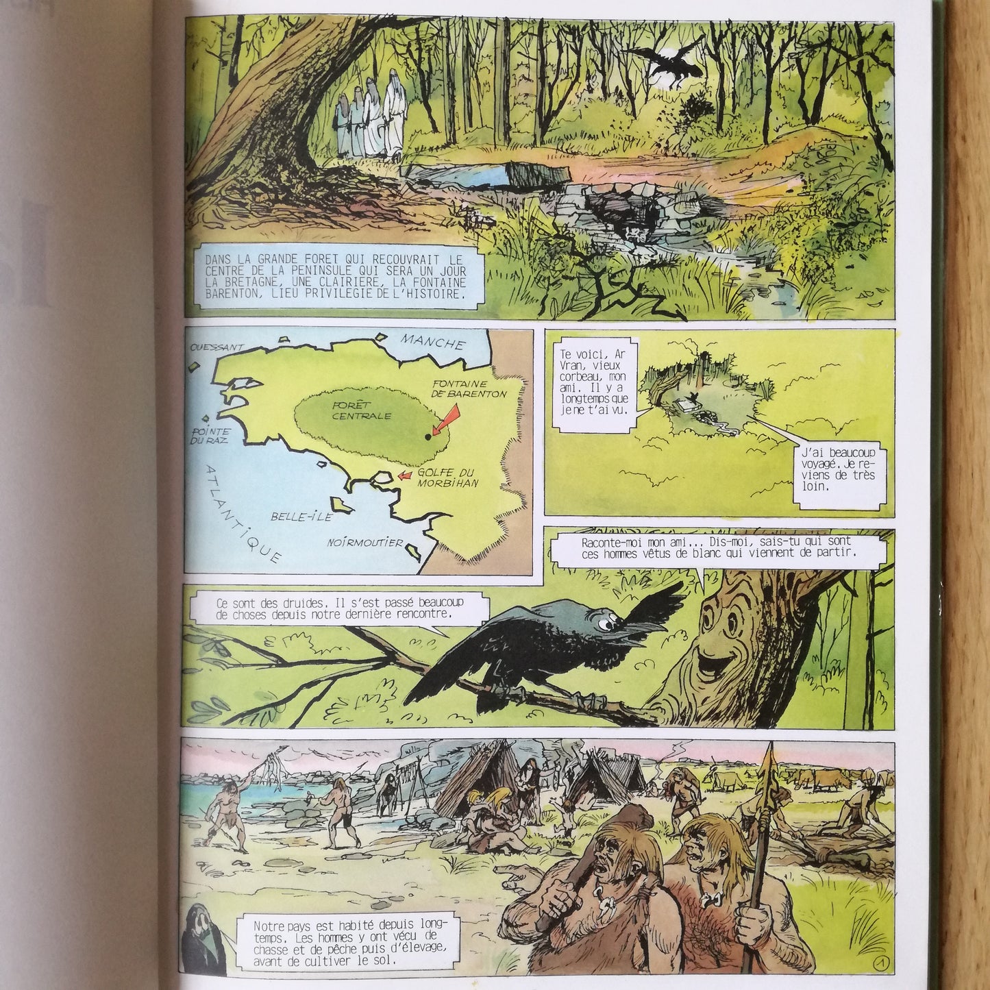 Livre - BD (Bande dessinée) Histoire des provinces de France en bandes dessinées Larousse