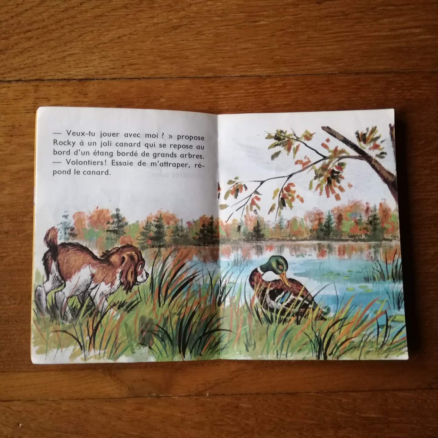 Livre jeunesse Junior Lito