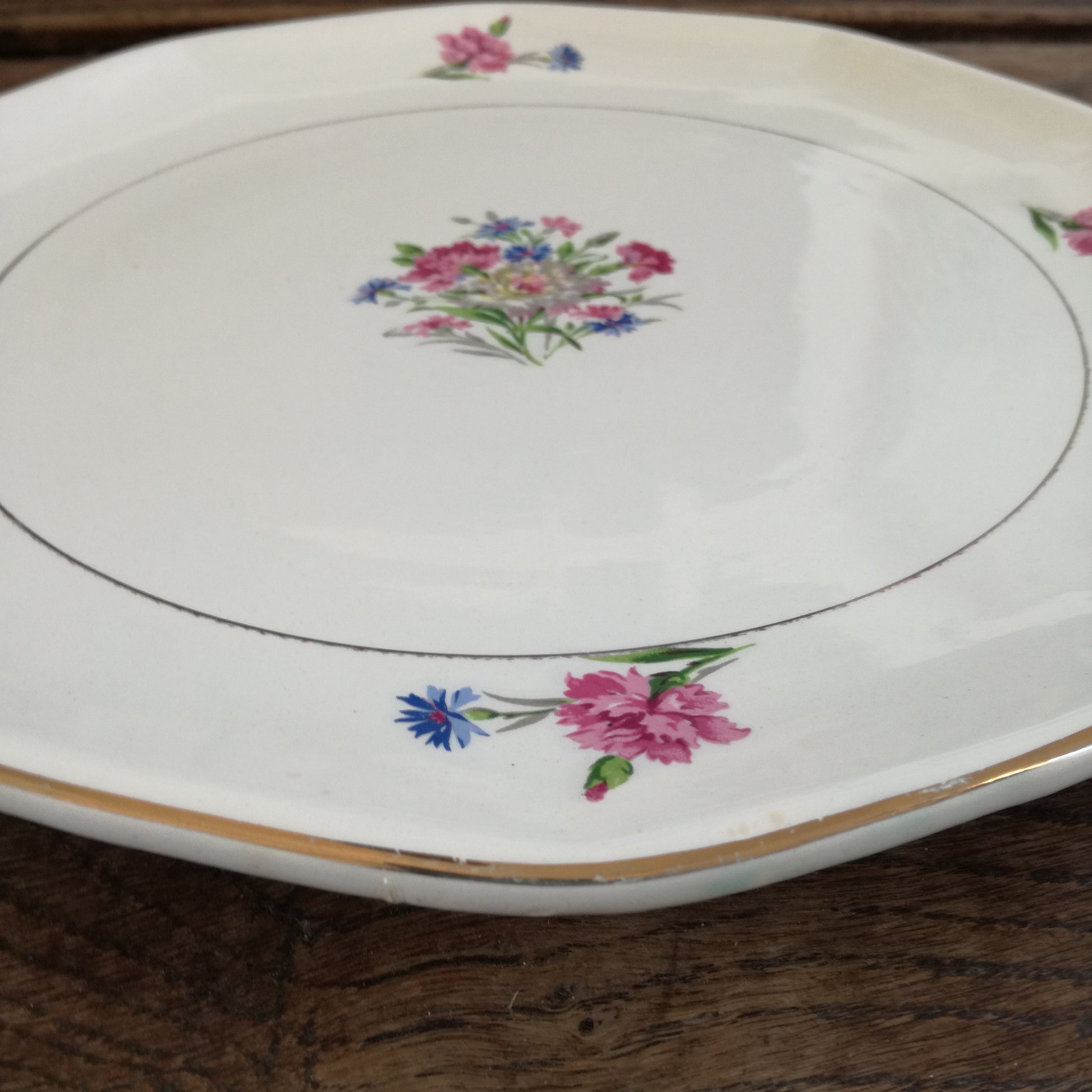 Plat Nice Digoin & Sarreguemines