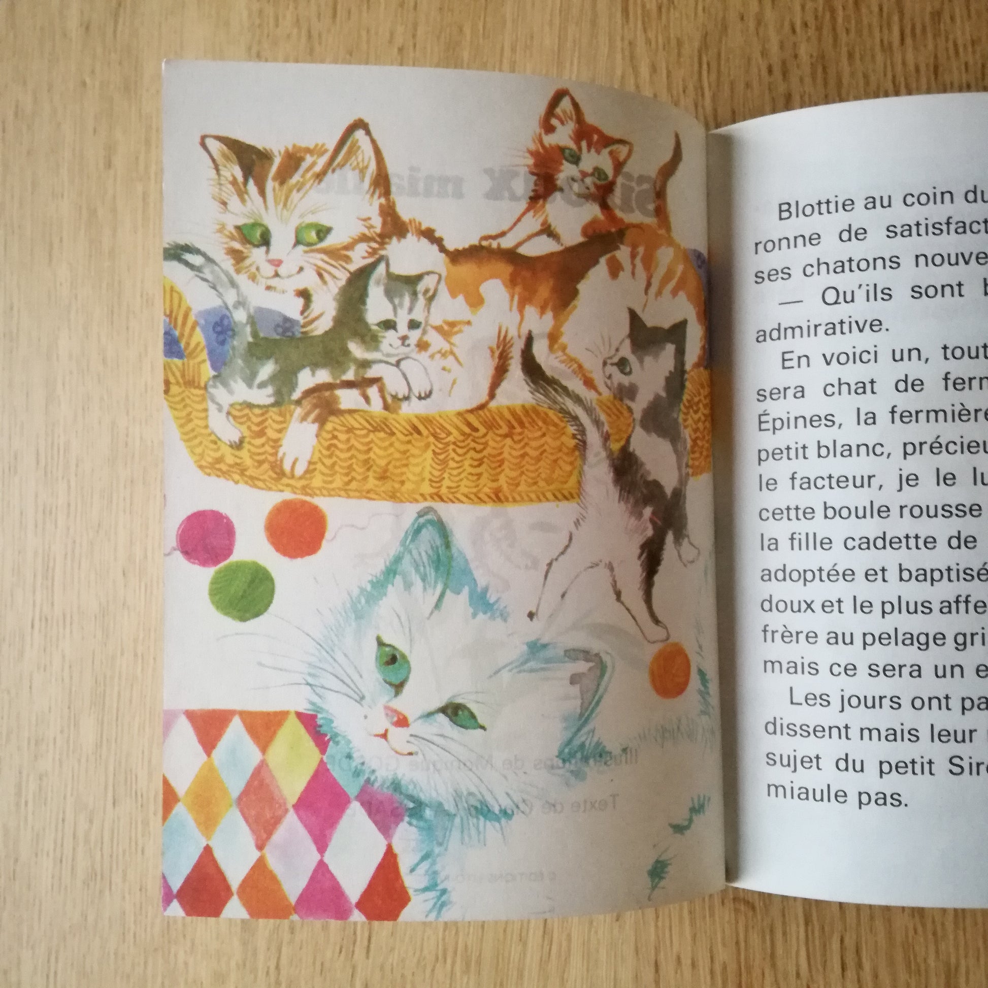 Livre jeunesse La ronde des animaux Lito