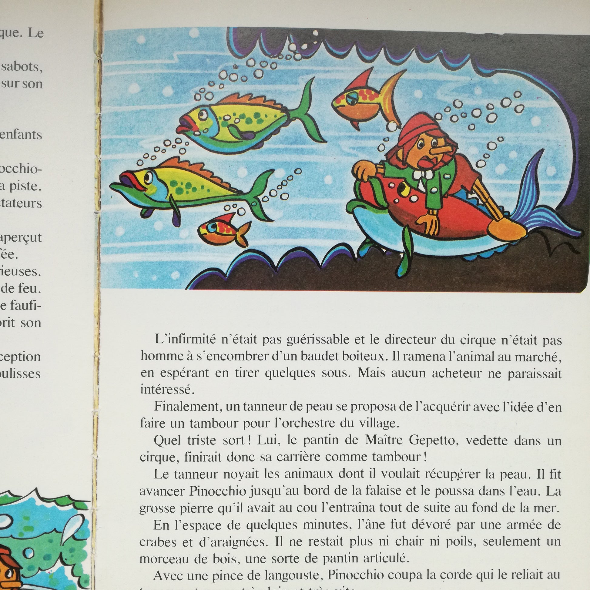 Livre jeunesse Télé-Librairie Deux Coqs d'Or
