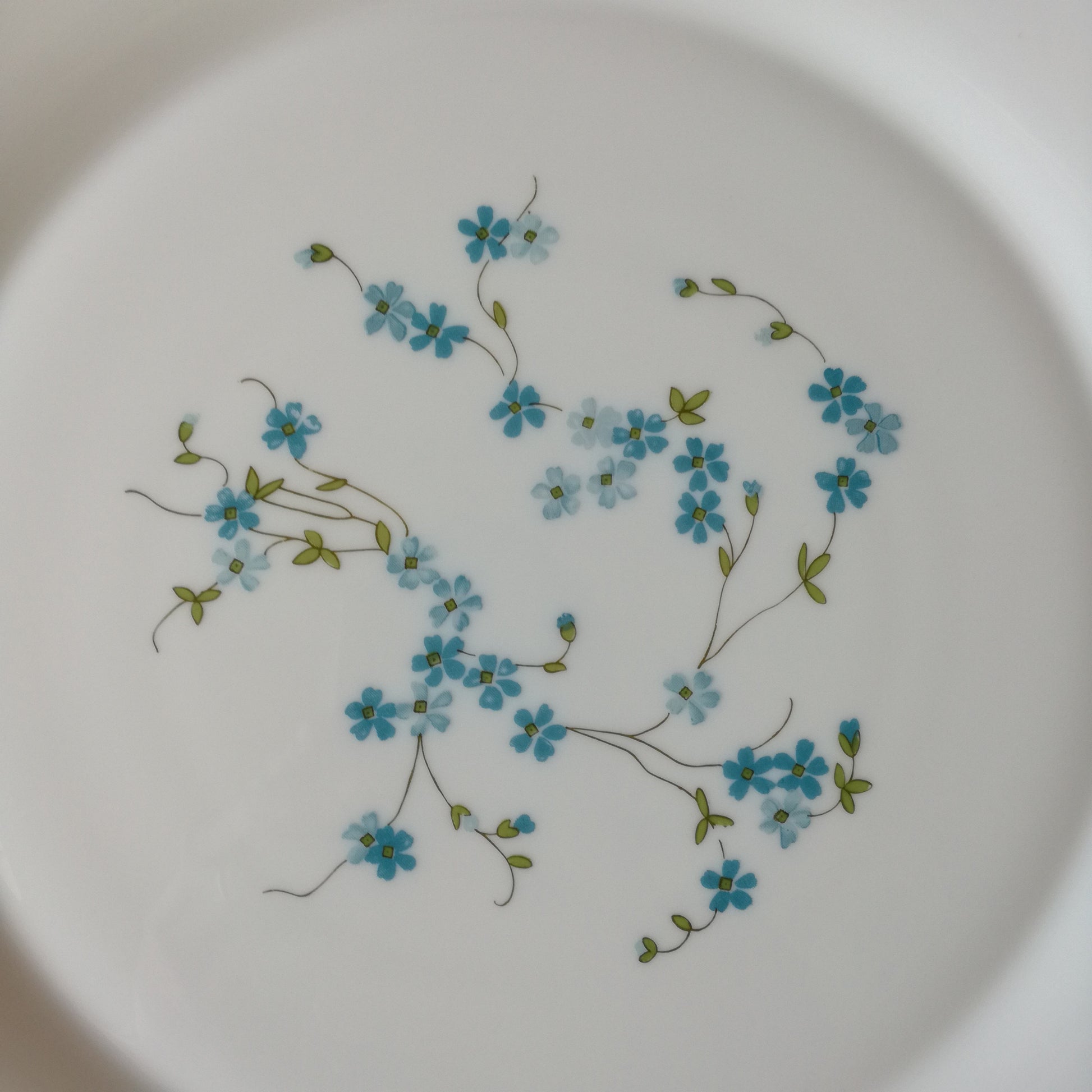 Plat Veronica Arcopal