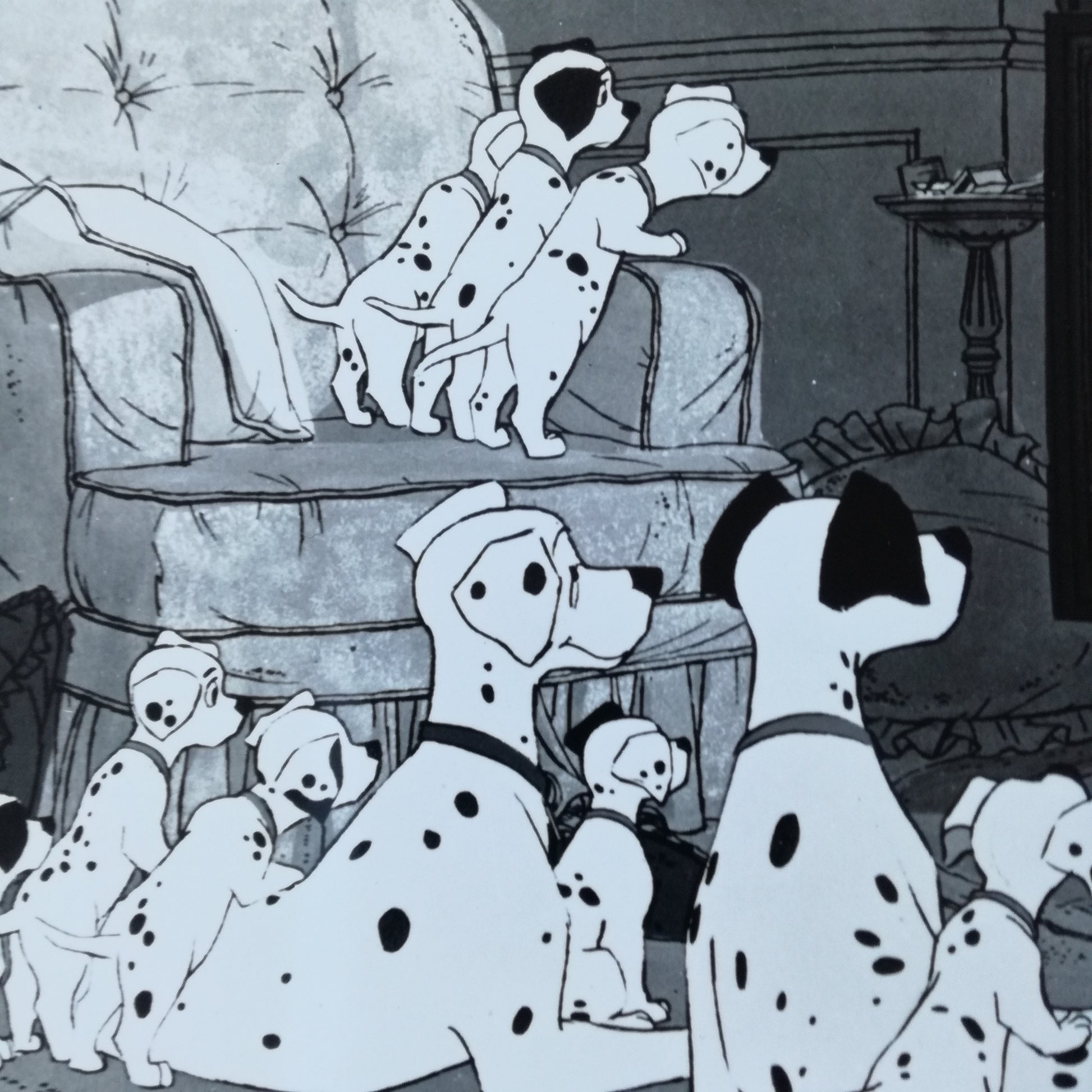 Photographie  Walt Disney