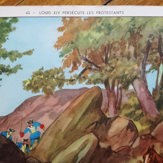 Affiche scolaire  Rossignol